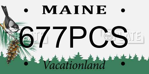 677PCS Maine License Plate