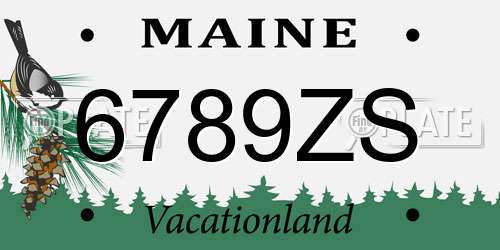 6789ZS Maine License Plate
