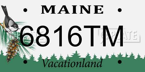 6816TM Maine License Plate