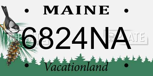 6824NA Maine License Plate