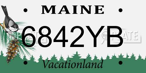 6842YB Maine License Plate
