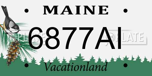6877AI Maine License Plate