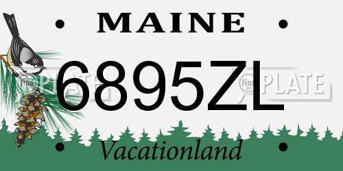 6895ZL Maine License Plate