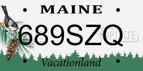 689SZQ Maine License Plate