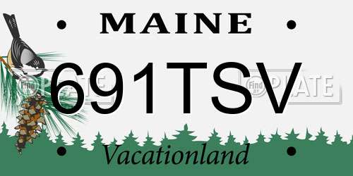 691TSV Maine License Plate