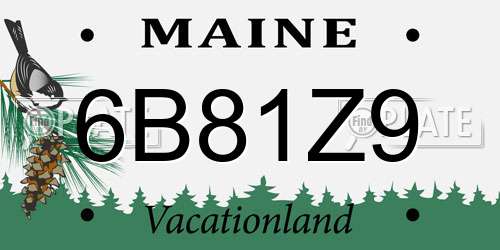 6B81Z9 Maine License Plate