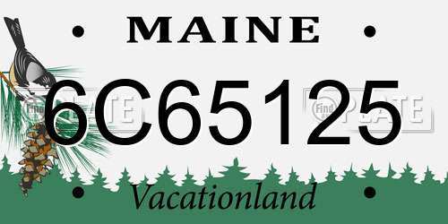 6C65125 Maine License Plate