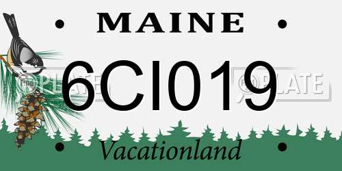 6CI019 Maine License Plate