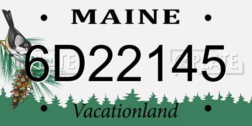 6D22145 Maine License Plate
