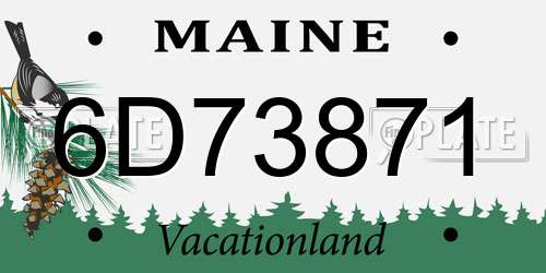 6D73871 Maine License Plate