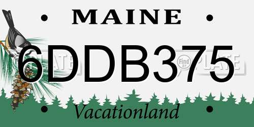 6DDB375 Maine License Plate