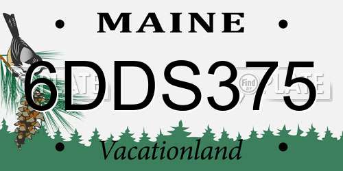 6DDS375 Maine License Plate