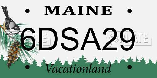 6DSA29 Maine License Plate