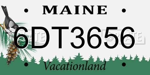 6DT3656 Maine License Plate