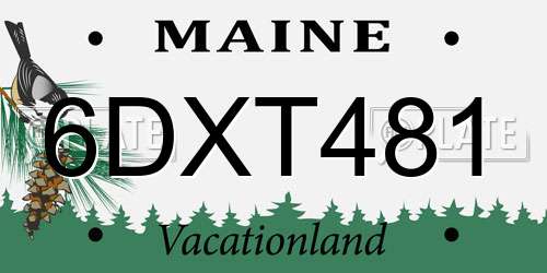 6DXT481 Maine License Plate