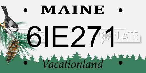 6IE271 Maine License Plate