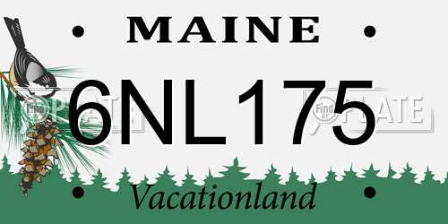 6NL175 Maine License Plate