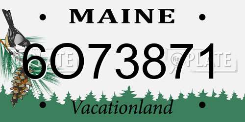 6O73871 Maine License Plate
