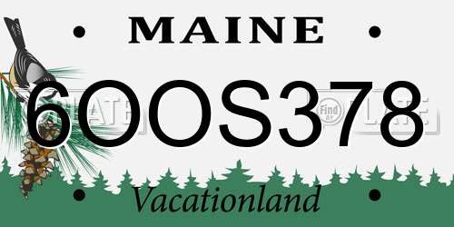 6OOS378 Maine License Plate