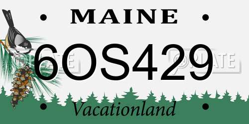 6OS429 Maine License Plate