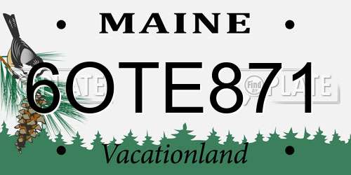 6OTE871 Maine License Plate