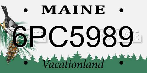 6PC5989 Maine License Plate
