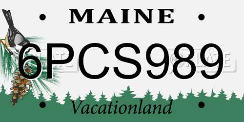 6PCS989 Maine License Plate