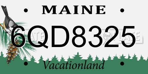 6QD8325 Maine License Plate