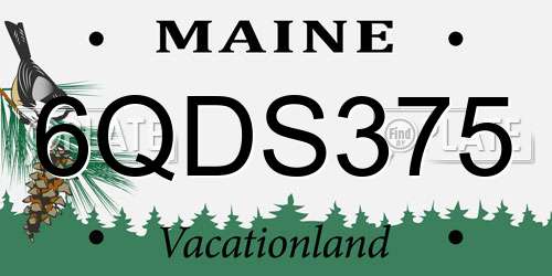 6QDS375 Maine License Plate
