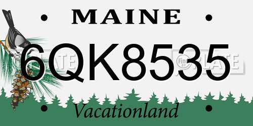 6QK8535 Maine License Plate