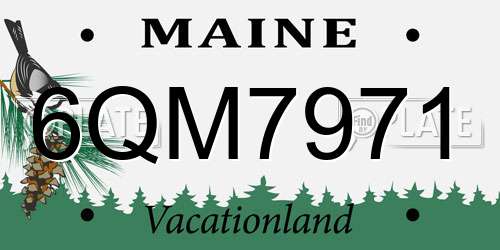 6QM7971 Maine License Plate
