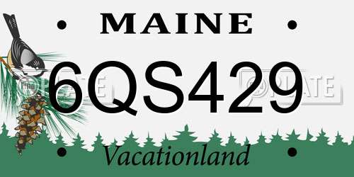 6QS429 Maine License Plate