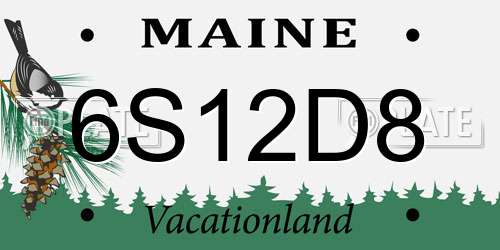 6S12D8 Maine License Plate