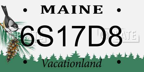 6S17D8 Maine License Plate