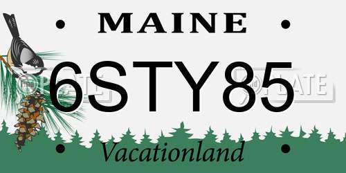 6STY85 Maine License Plate