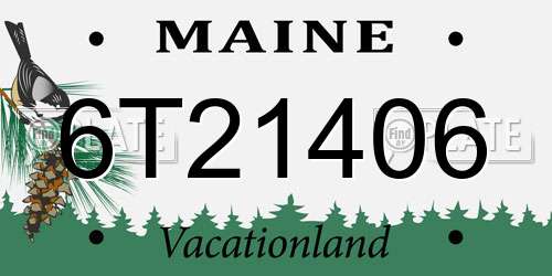 6T21406 Maine License Plate