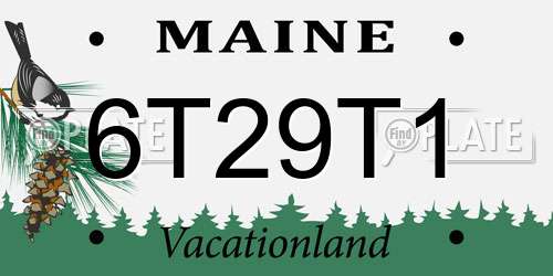 6T29T1 Maine License Plate