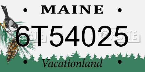 6T54025 Maine License Plate