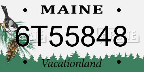 6T55848 Maine License Plate