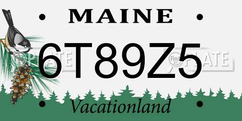 6T89Z5 Maine License Plate