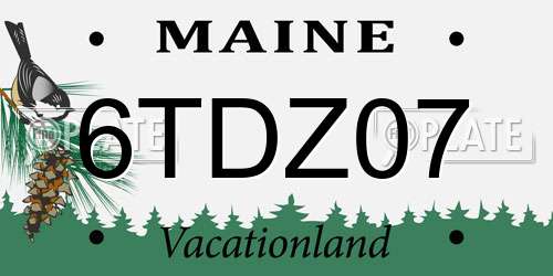 6TDZ07 Maine License Plate