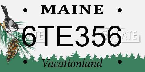 6TE356 Maine License Plate