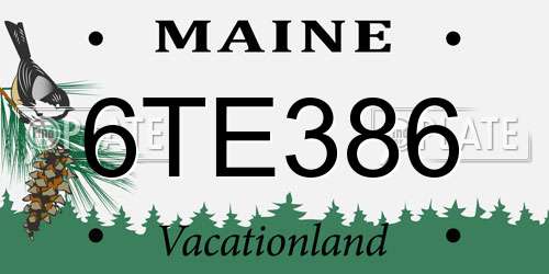 6TE386 Maine License Plate