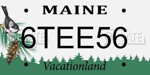 6TEE56 Maine License Plate