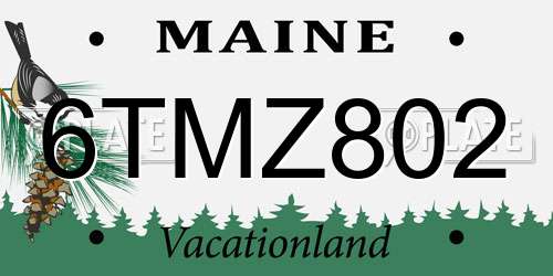 6TMZ802 Maine License Plate