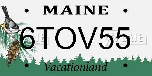 6TOV55 Maine License Plate