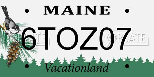 6TOZ07 Maine License Plate