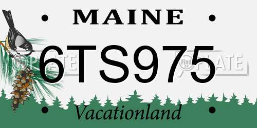 6TS975 Maine License Plate