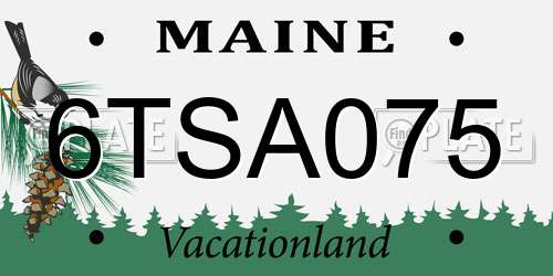 6TSA075 Maine License Plate