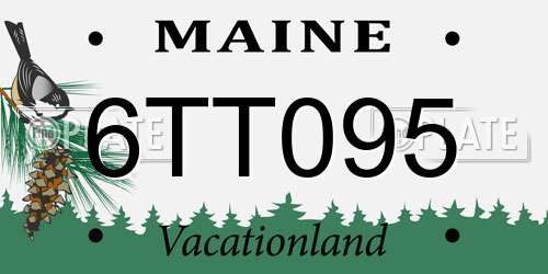 6TT095 Maine License Plate